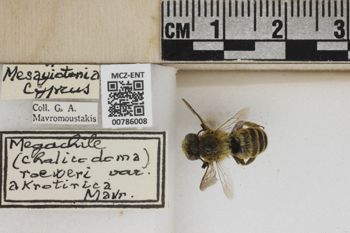 Media type: image;   Entomology 786008 Aspect: Labels